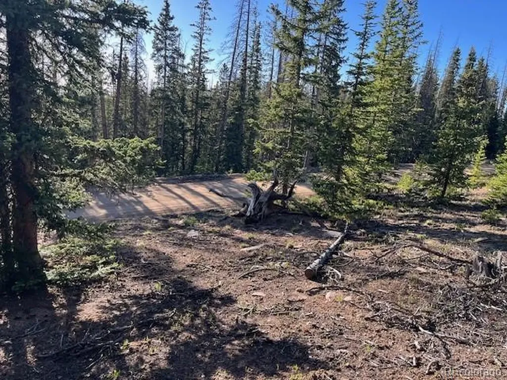 Lot 6525 Schlueter Road San Luis CO 81152