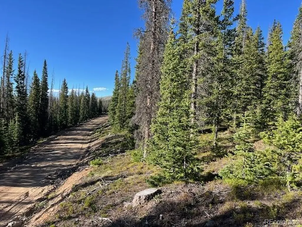 Lot 6525 Schlueter Road San Luis CO 81152