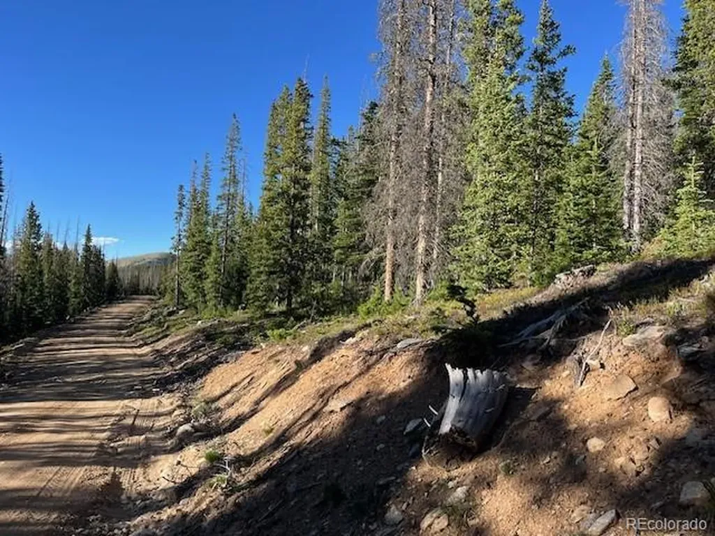 Lot 6525 Schlueter Road San Luis CO 81152