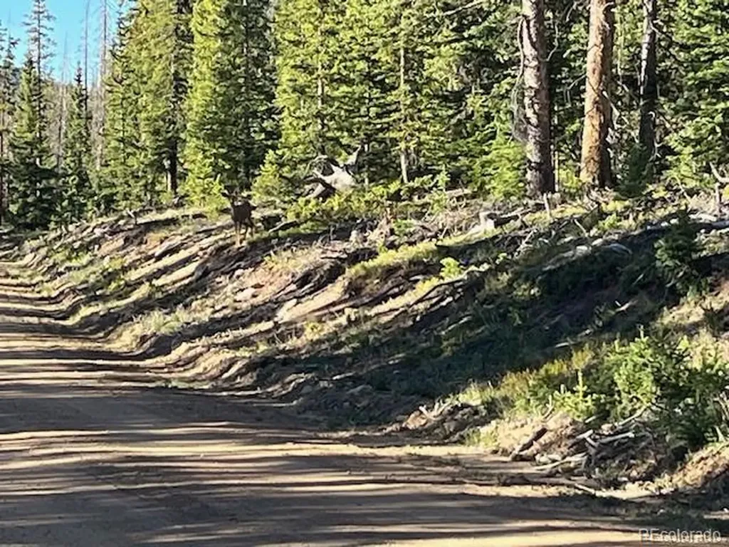 Lot 6525 Schlueter Road San Luis CO 81152