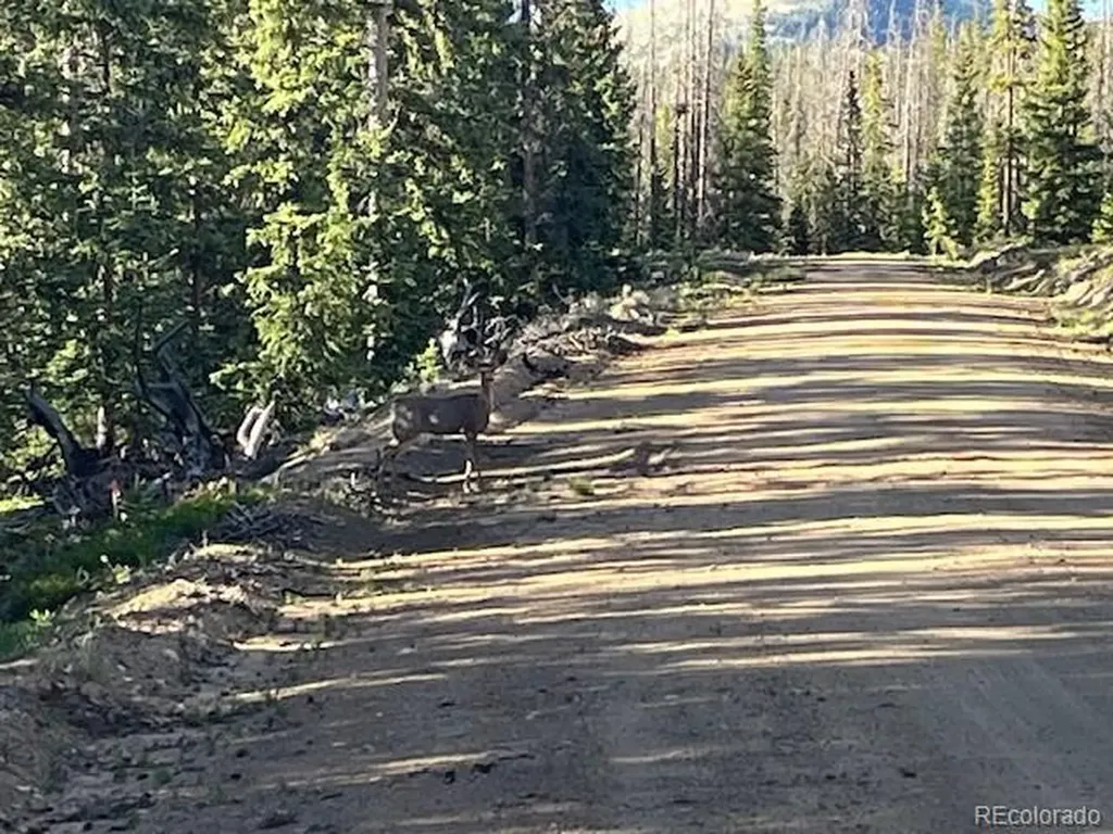 Lot 6525 Schlueter Road San Luis CO 81152