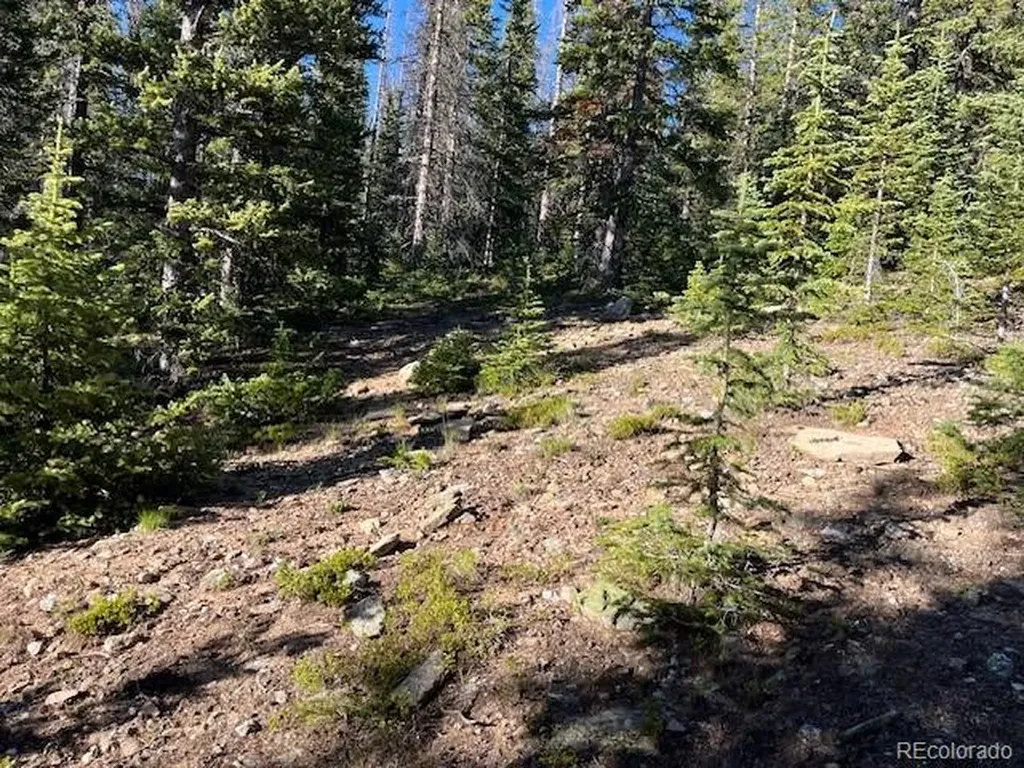 Lot 6525 Schlueter Road San Luis CO 81152
