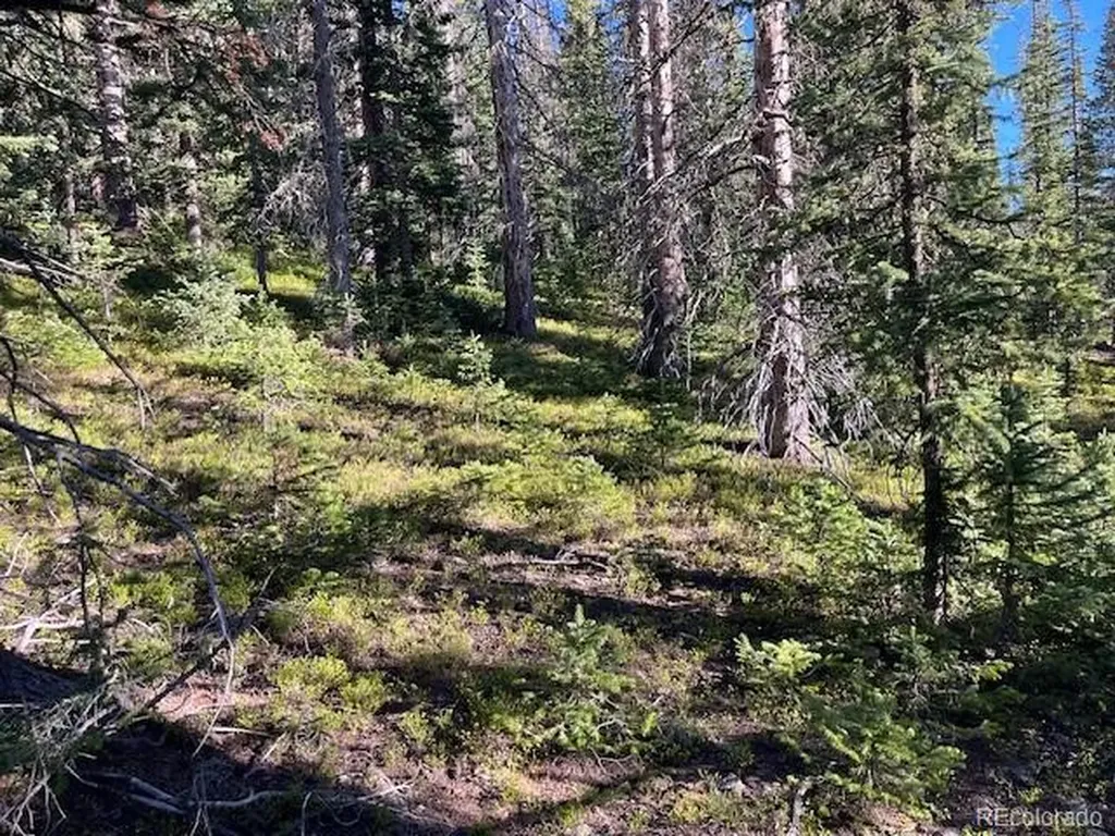 Lot 6525 Schlueter Road San Luis CO 81152