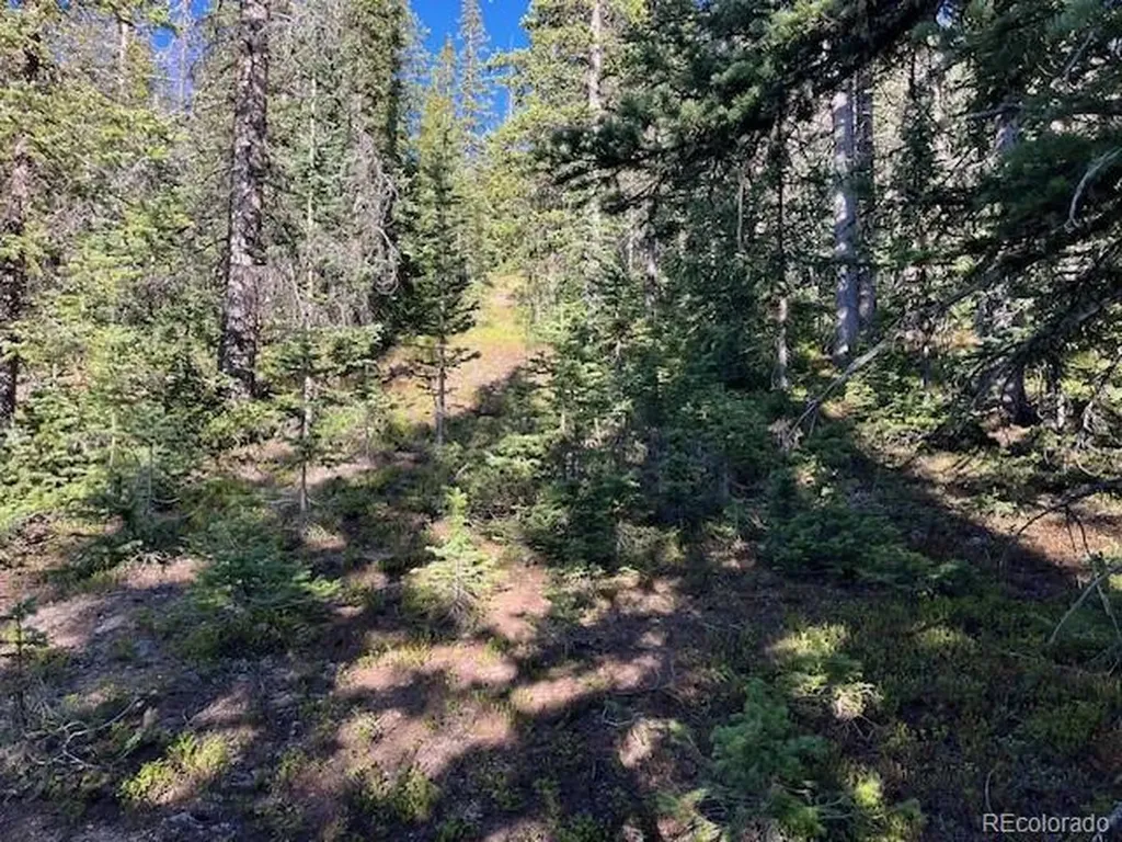 Lot 6525 Schlueter Road San Luis CO 81152