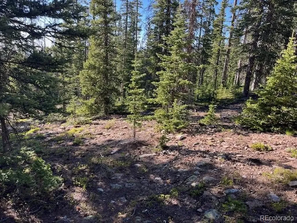 Lot 6525 Schlueter Road San Luis CO 81152
