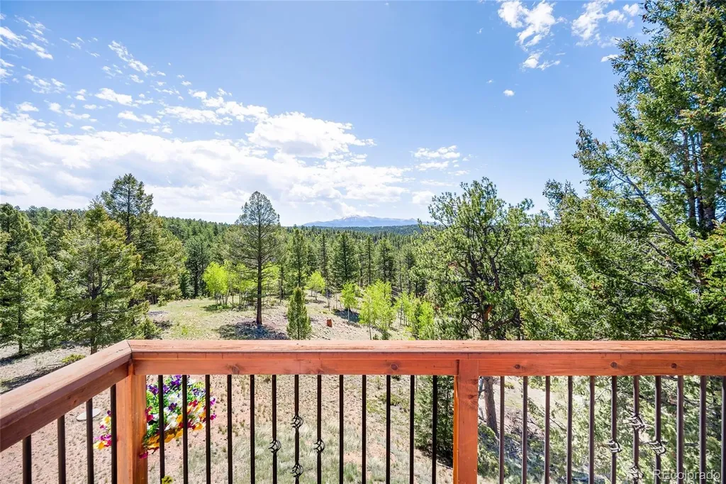 4267 County Road 51 Divide CO 80814