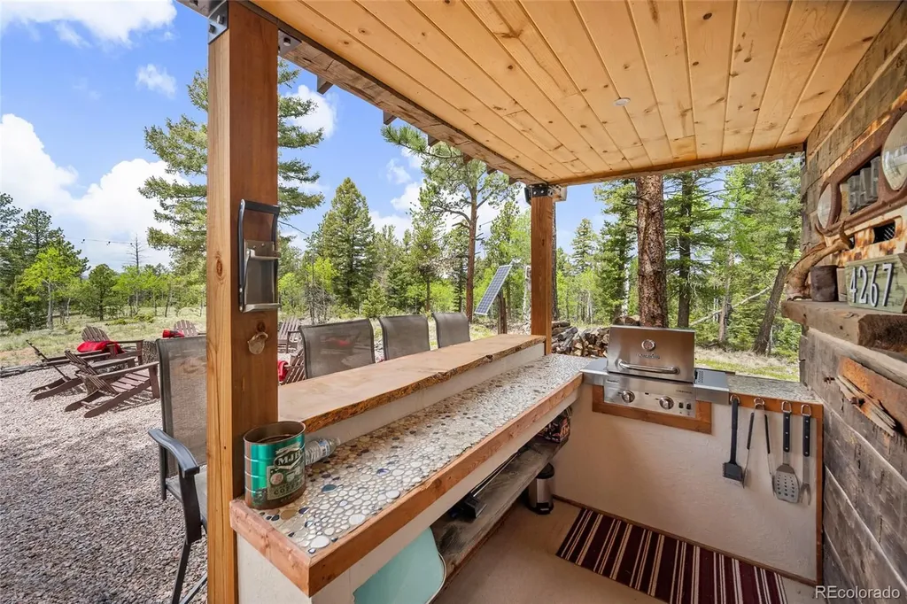4267 County Road 51 Divide CO 80814