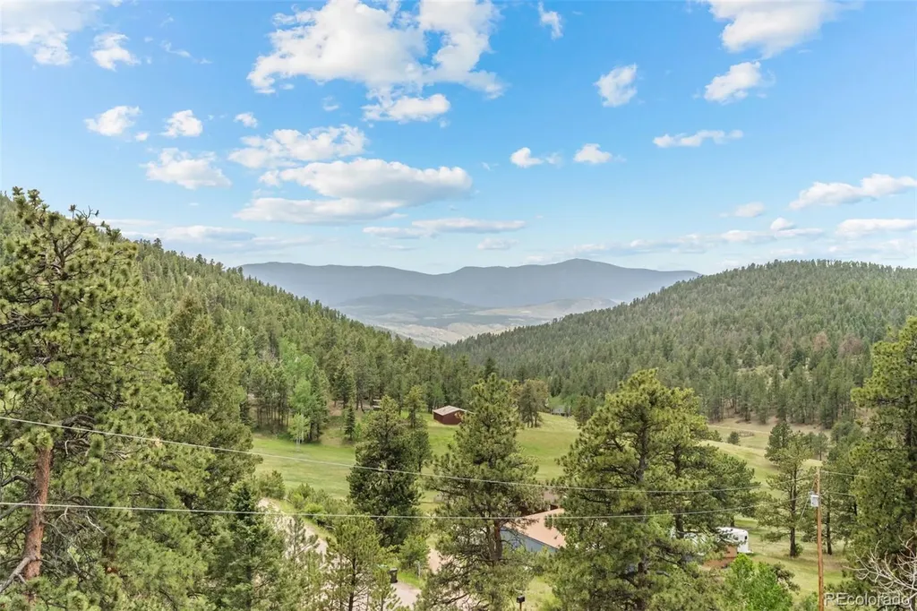 13976 Wamblee Trail Conifer CO 80433