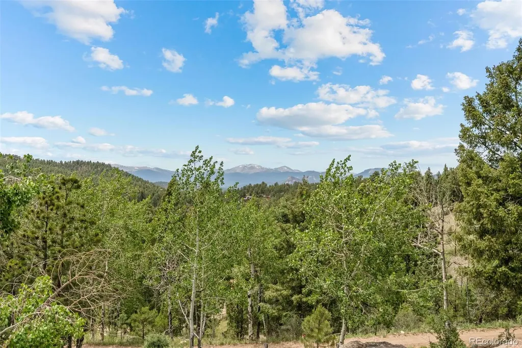 13976 Wamblee Trail Conifer CO 80433