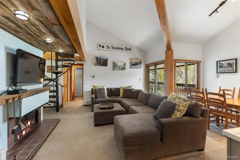 393 Wild Irishman Road Keystone CO 80435