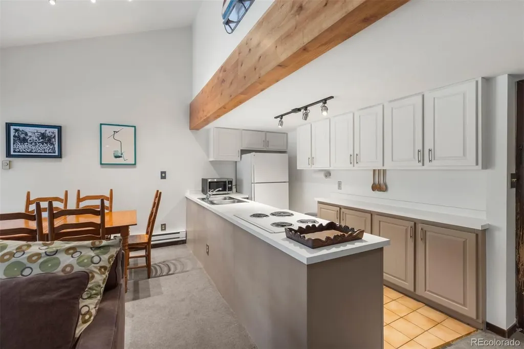 393 Wild Irishman Road Keystone CO 80435