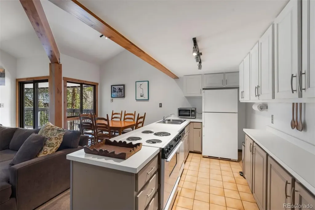 393 Wild Irishman Road Keystone CO 80435