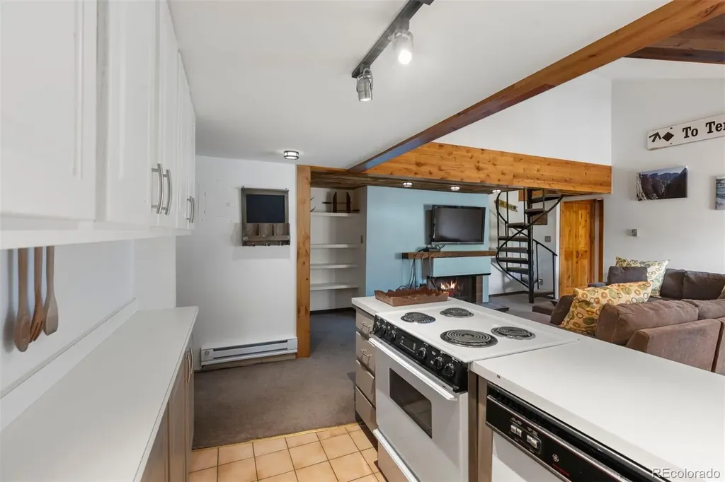 393 Wild Irishman Road Keystone CO 80435