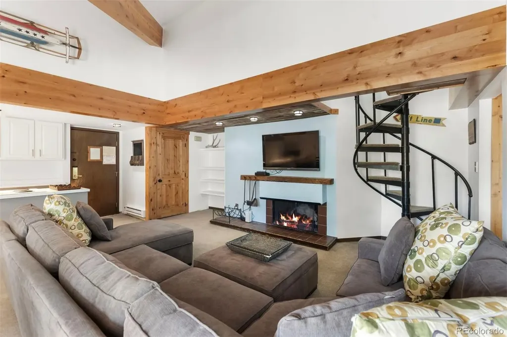 393 Wild Irishman Road Keystone CO 80435