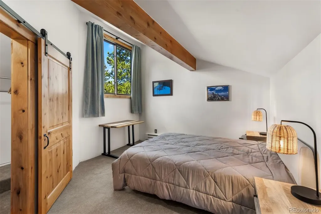 393 Wild Irishman Road Keystone CO 80435