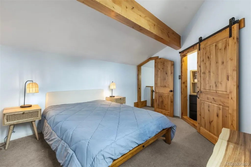 393 Wild Irishman Road Keystone CO 80435