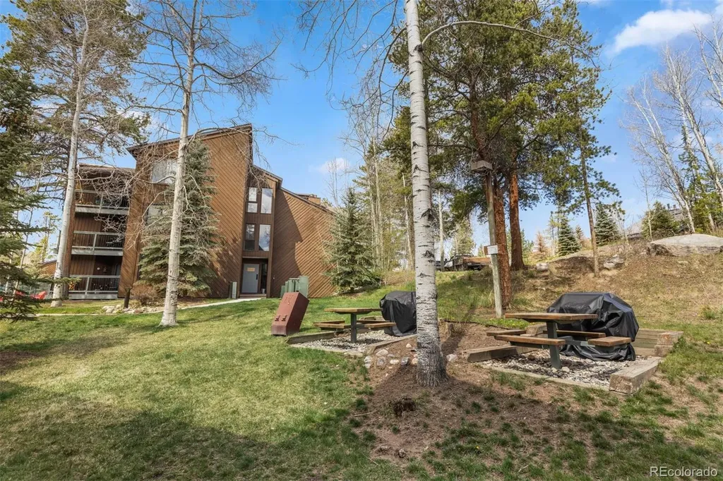 393 Wild Irishman Road Keystone CO 80435