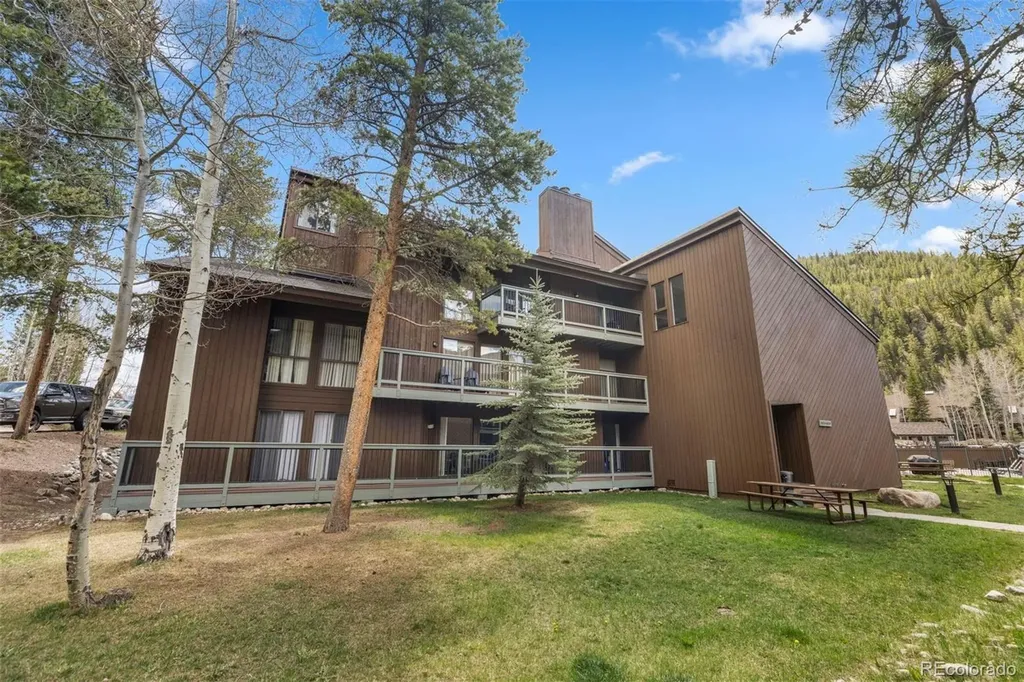 393 Wild Irishman Road Keystone CO 80435