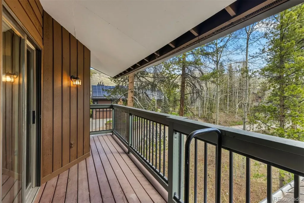 393 Wild Irishman Road Keystone CO 80435