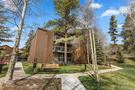 393 Wild Irishman Road Keystone CO 80435