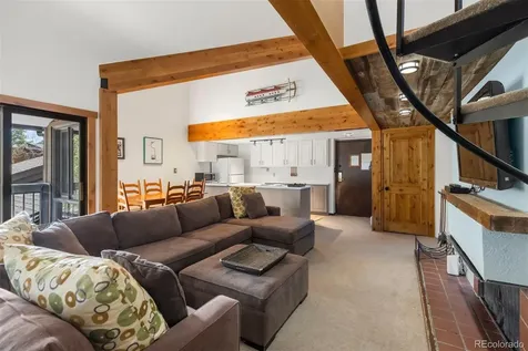 393 Wild Irishman Road Keystone CO 80435