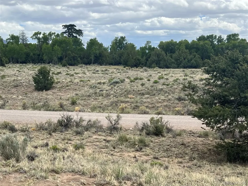 1592 Spanish Creek Road Crestone CO 81131