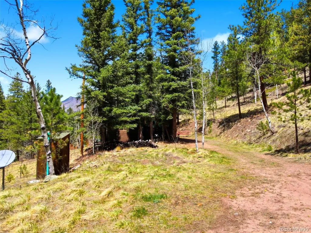 652 Payne Gulch Road Bailey CO 80421