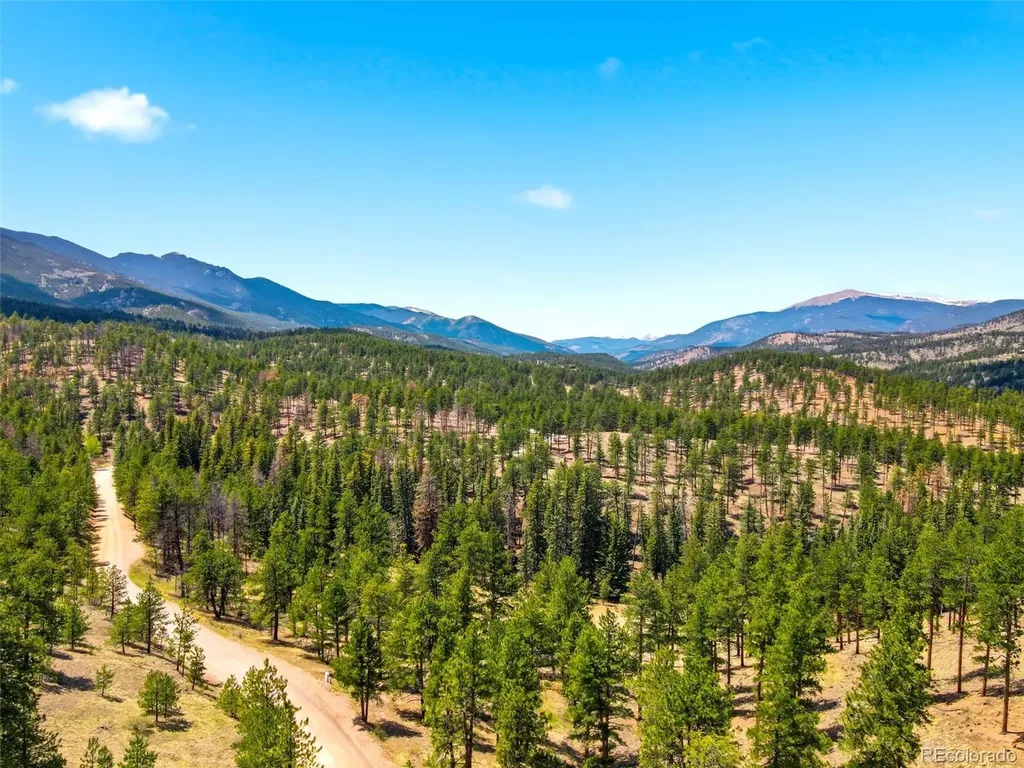 652 Payne Gulch Road Bailey CO 80421