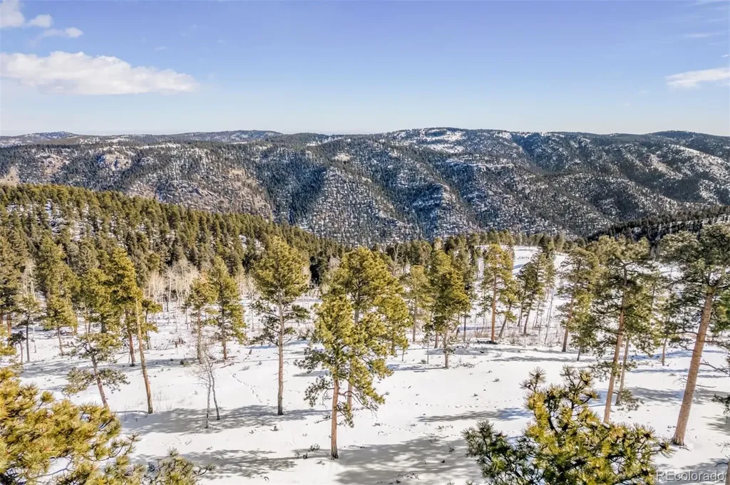 13144 Pine Country Lane Conifer CO 80433