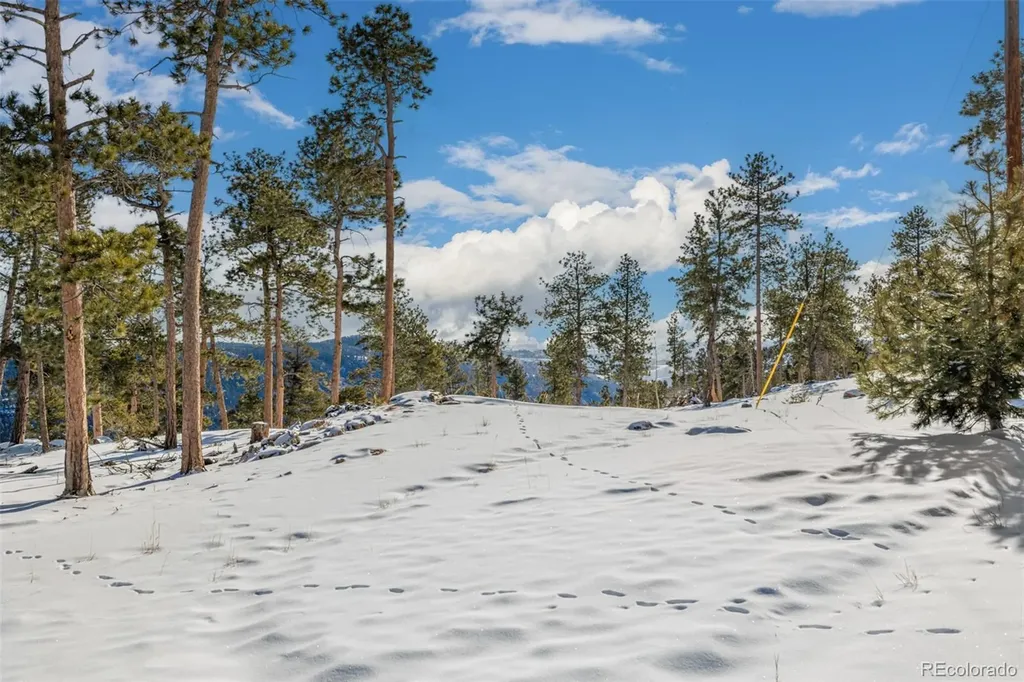 13144 Pine Country Lane Conifer CO 80433