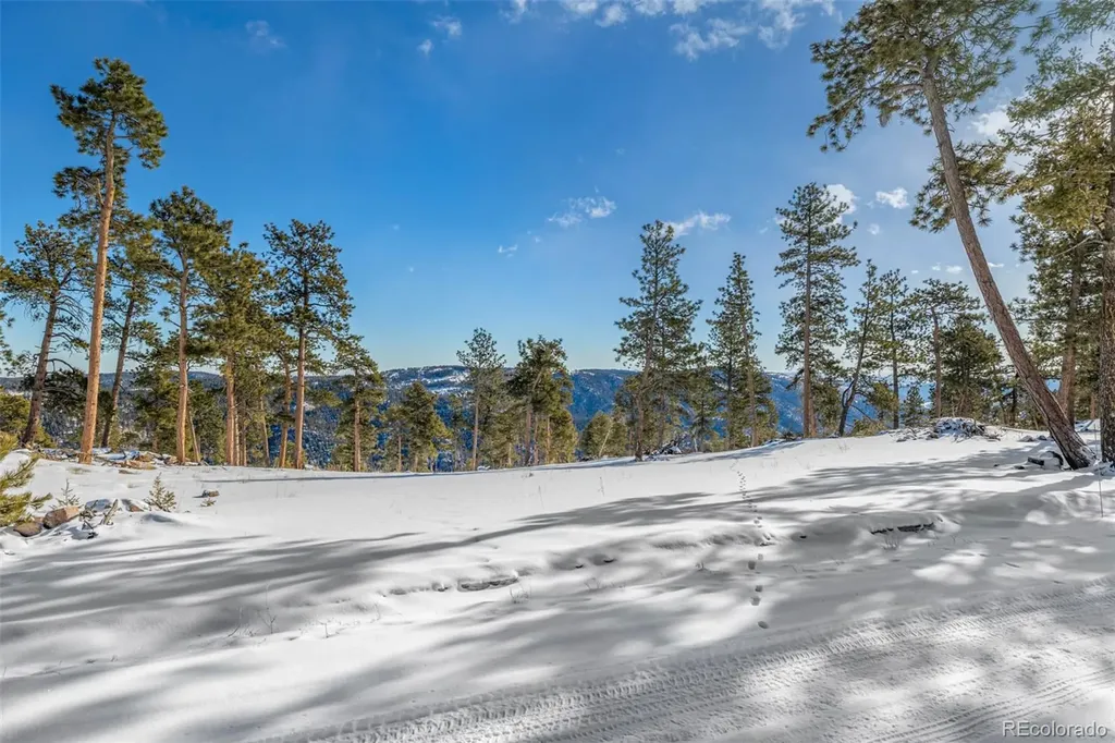 13144 Pine Country Lane Conifer CO 80433