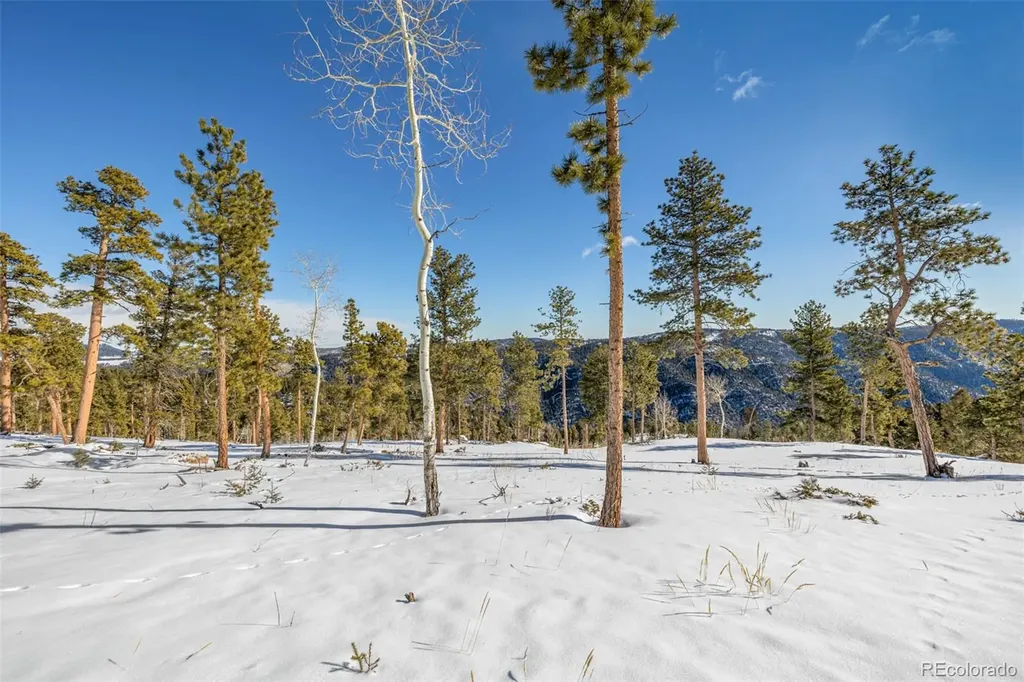 13144 Pine Country Lane Conifer CO 80433
