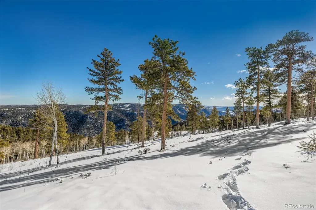13144 Pine Country Lane Conifer CO 80433