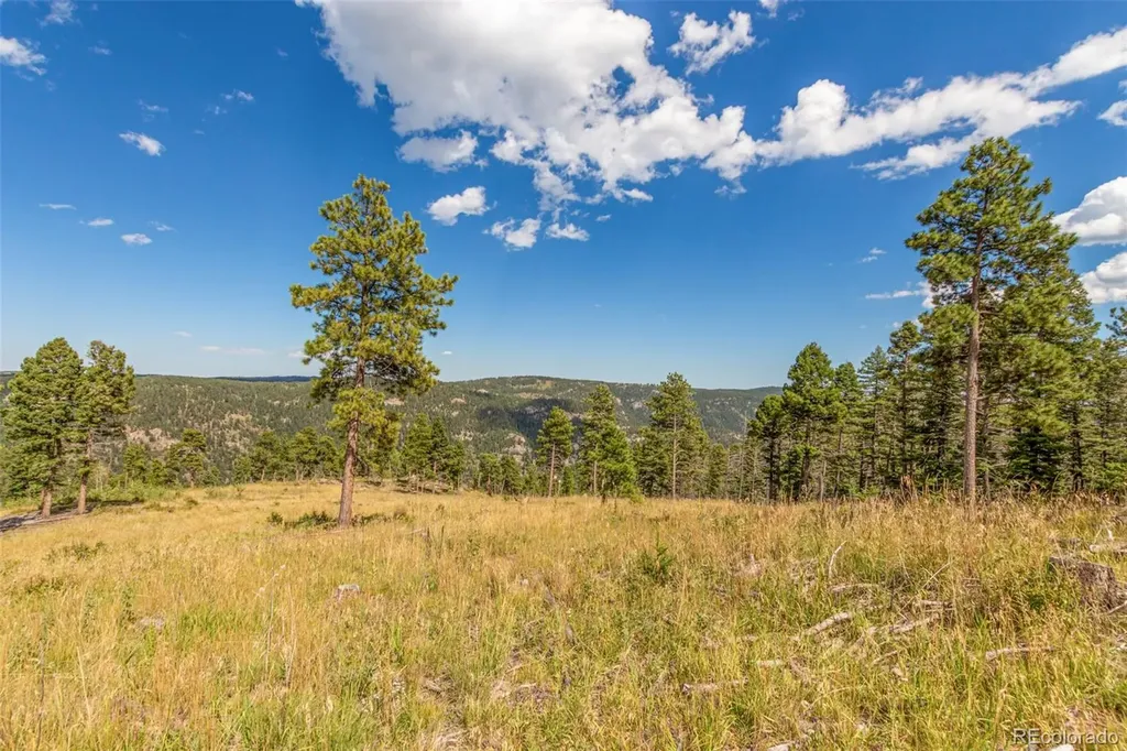 13144 Pine Country Lane Conifer CO 80433