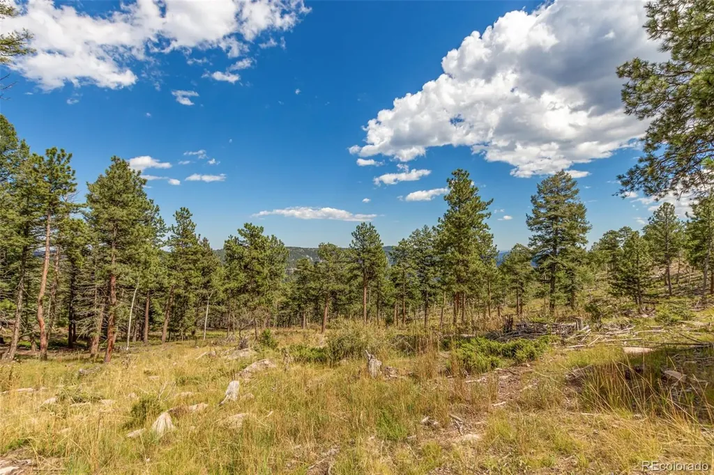 13144 Pine Country Lane Conifer CO 80433