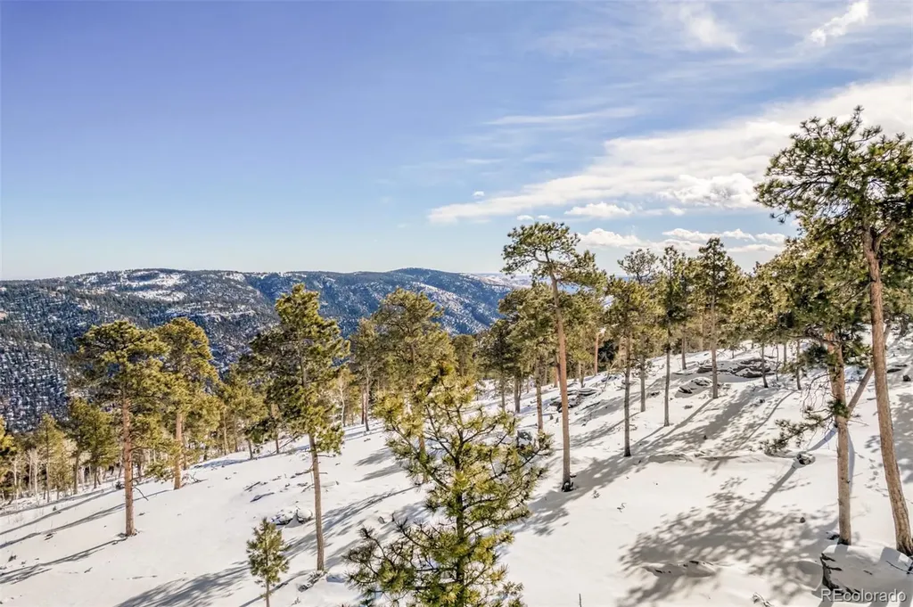 13144 Pine Country Lane Conifer CO 80433