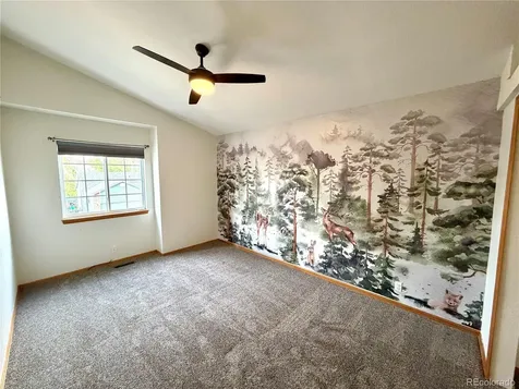1529 Chutney Court Colorado Springs CO 80907