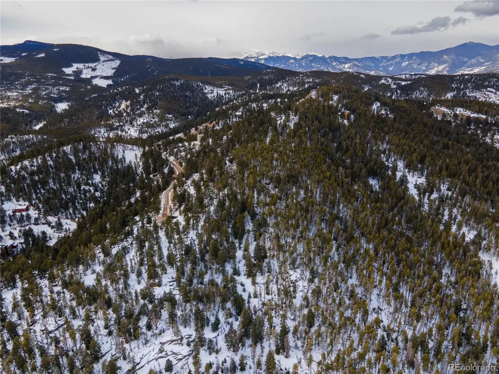 32613 Lodgepole Circle Evergreen CO 80439