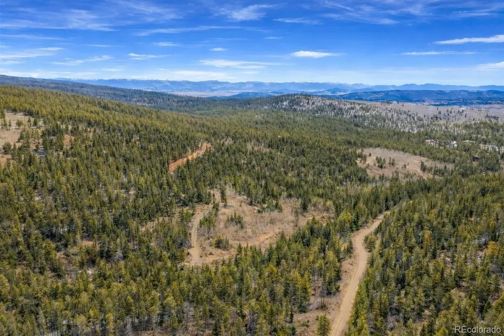 000 Beaver Creek Road Alma CO 80420