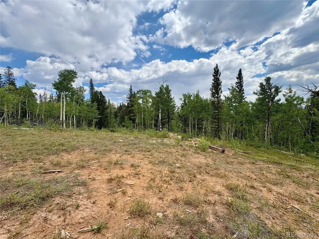 000 Beaver Creek Road Alma CO 80420