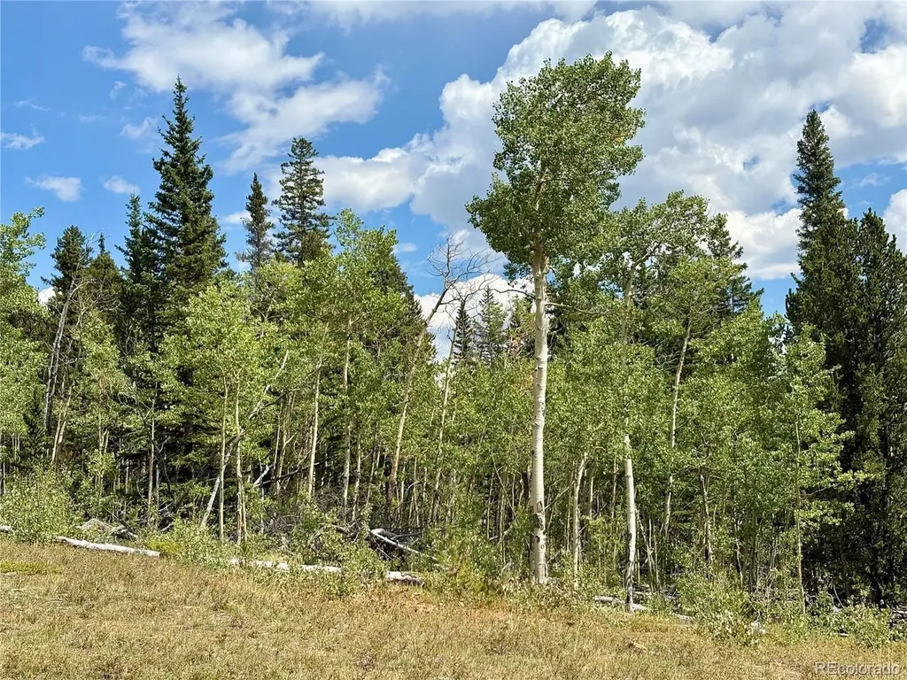 000 Beaver Creek Road Alma CO 80420