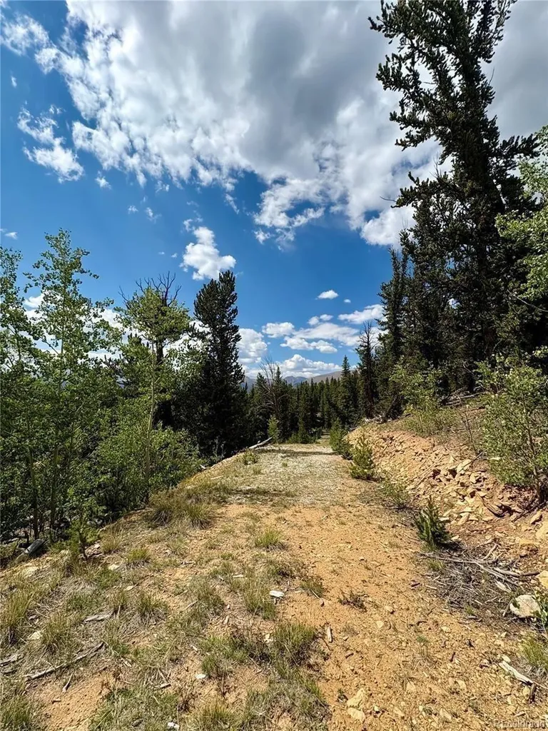 000 Beaver Creek Road Alma CO 80420
