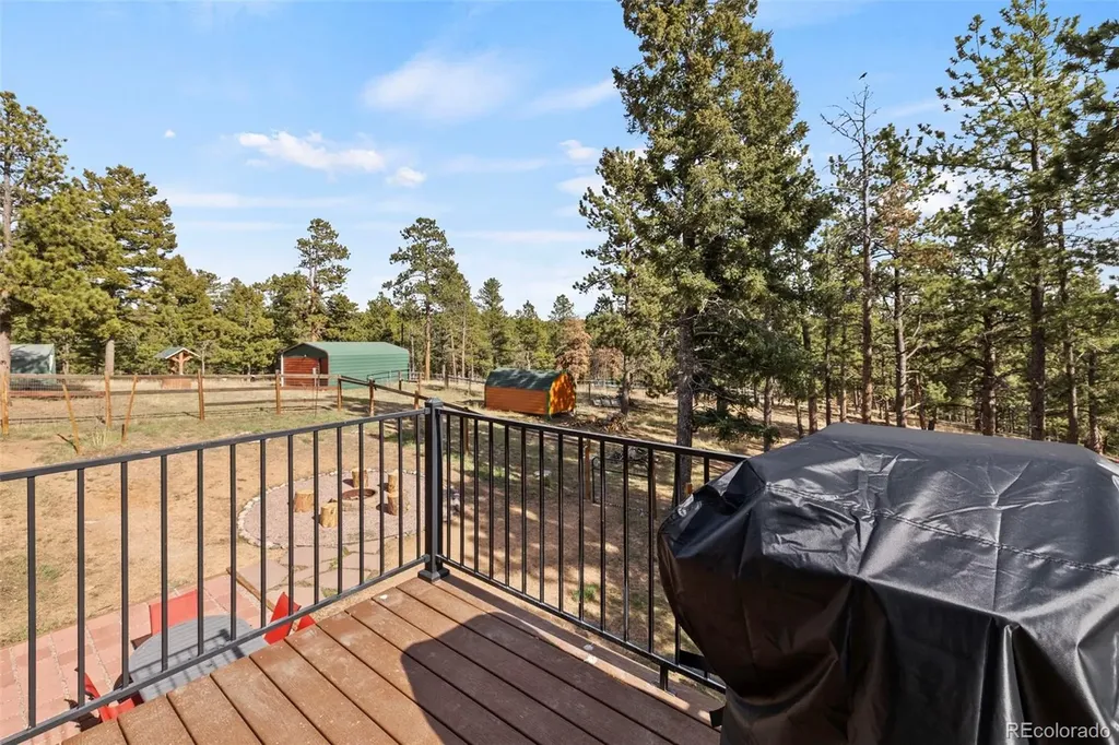 738 Rangeview Road Divide CO 80814