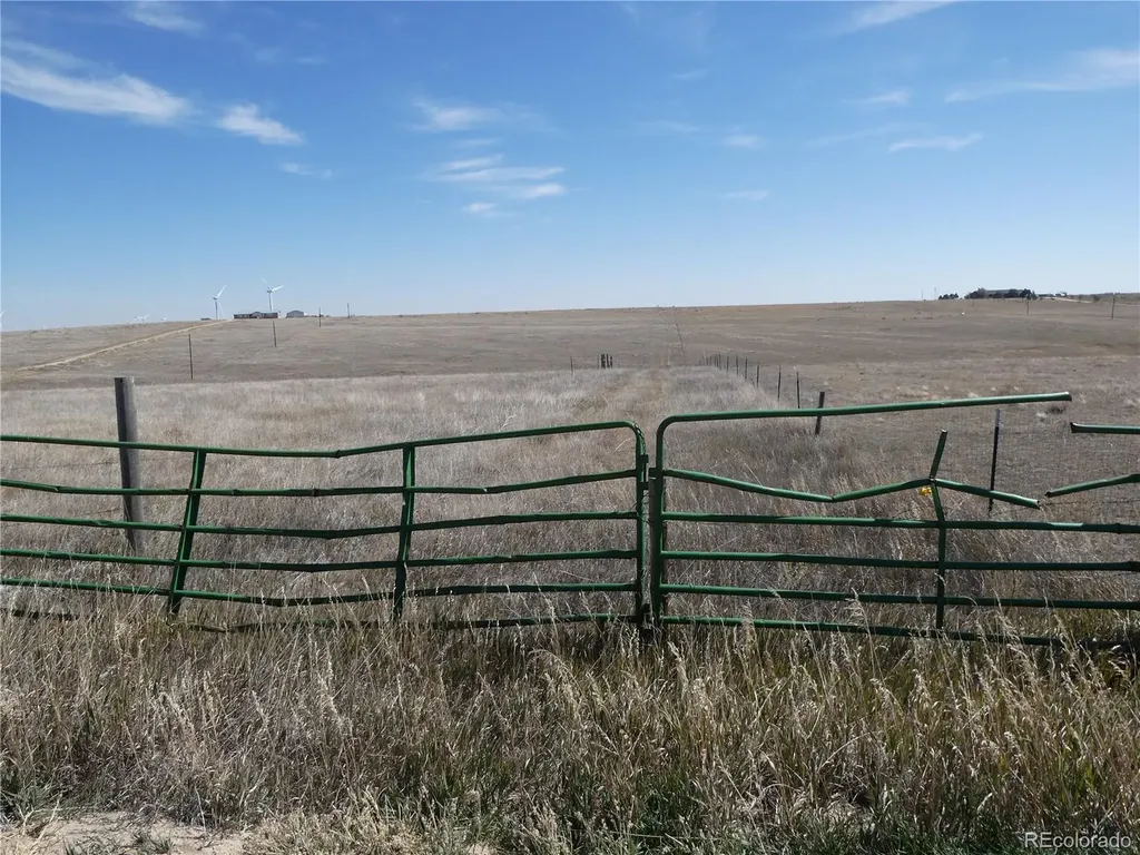 11701 County Road 137 Simla CO 80835