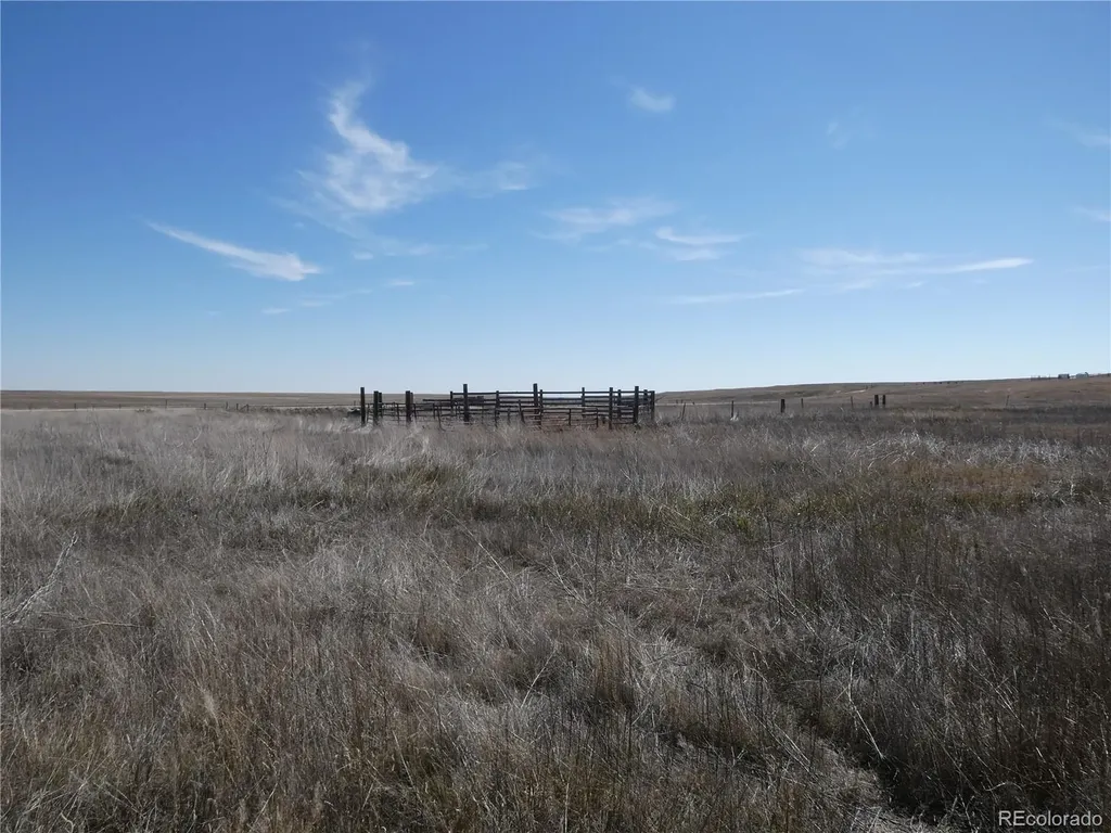 11701 County Road 137 Simla CO 80835