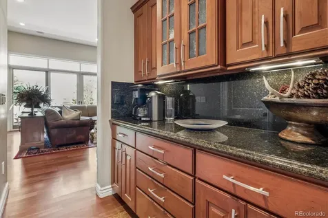 5829 Amber Ridge Drive Castle Rock CO 80108