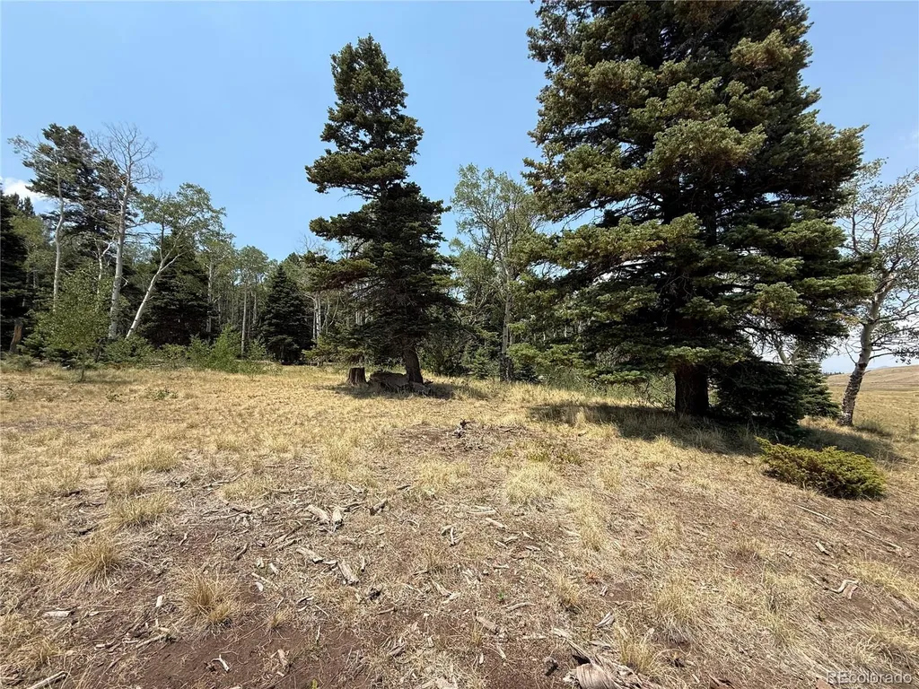 2357 Benton Place Fort Garland CO 81133