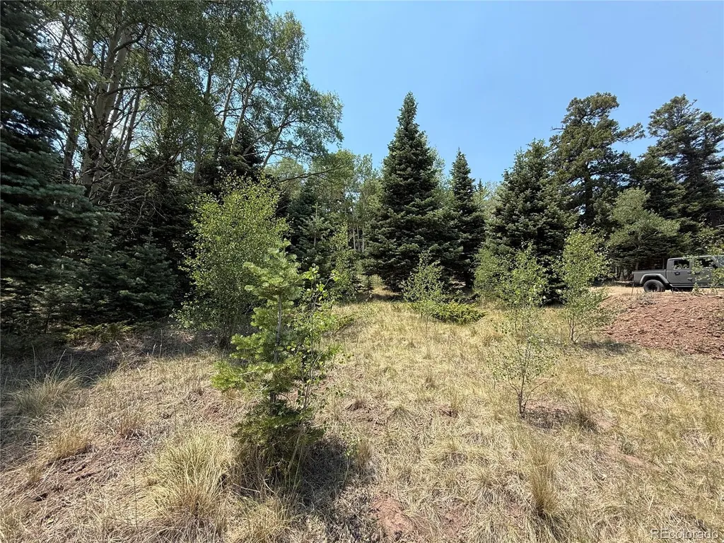 2357 Benton Place Fort Garland CO 81133