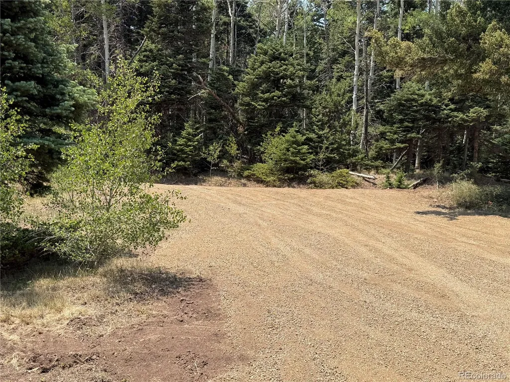 2357 Benton Place Fort Garland CO 81133