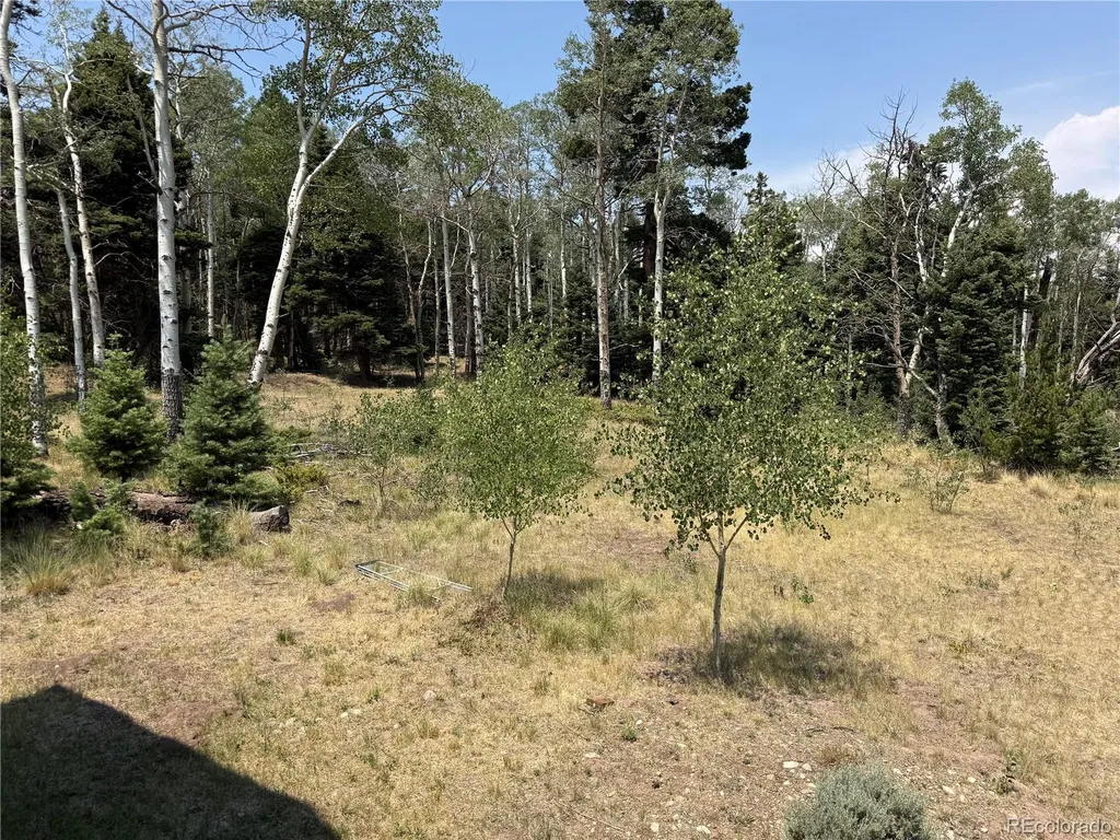 2357 Benton Place Fort Garland CO 81133